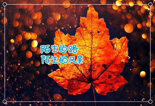精彩的爱情名言警句集锦