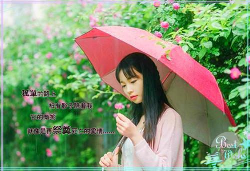 大专应届毕业生求职信范文汇总9篇