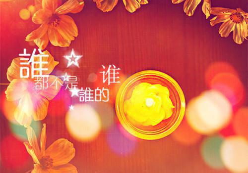 【必备】毕业生求职自荐信合集七篇