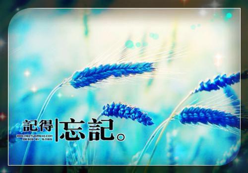 2023最新男生伤感个性签名 已经在不知不觉中失去联系