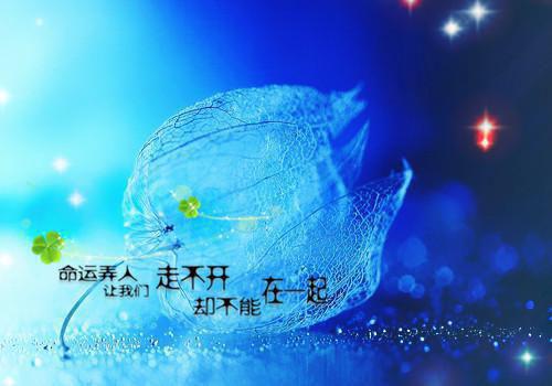 2023年教育技术班寒假班级社会实践报告