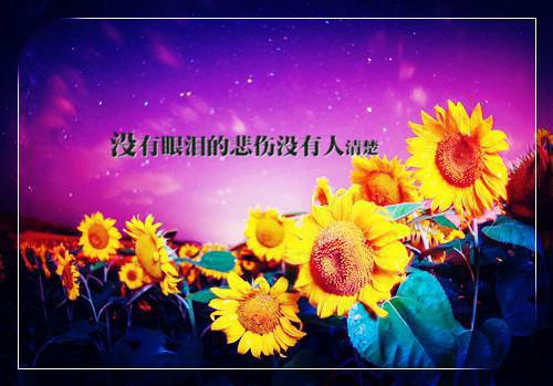关于名人读书的励志故事精选
