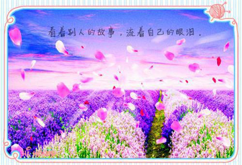 精选英文的自荐信锦集10篇