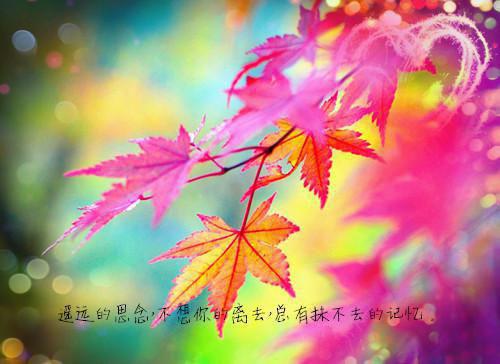 环境监察工作推进活动开展情况工作报告范文