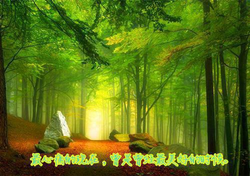 精选会计专业自荐信三篇