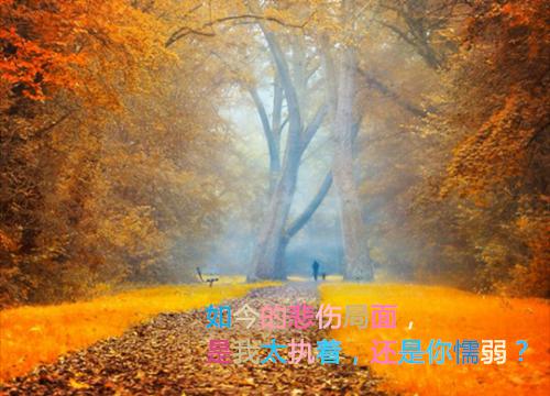 狐狸和乌鸦的故事续写400字狐狸和乌鸦的故事续写作文400字