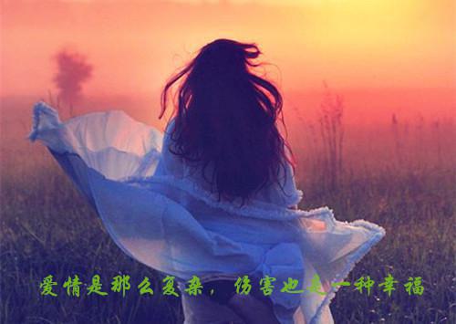 自来水抢修表扬信