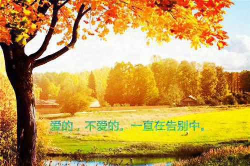 暑假促销员实践报告