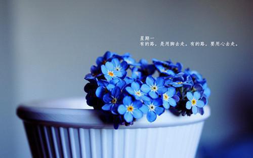 致村民的公开信