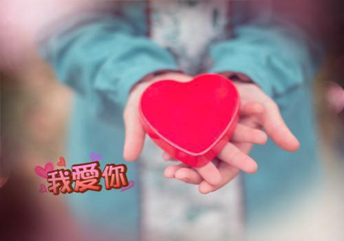 科室机关效能自查报告