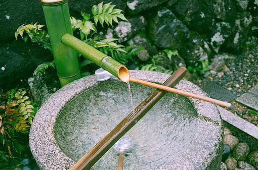 专业求职信范文锦集7篇
