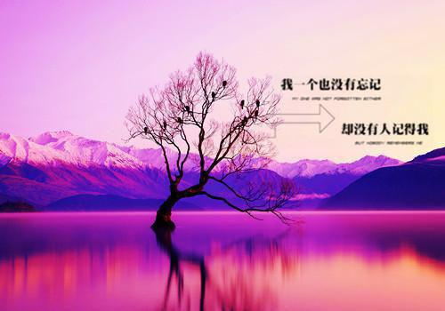公司企业法人授权委托书