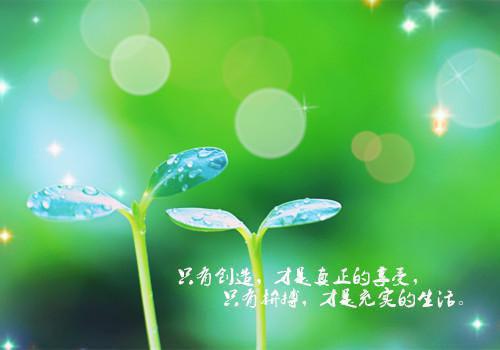 中文系的应届毕业生自荐信