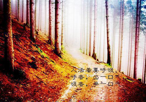 财务管理工作情况自查报告