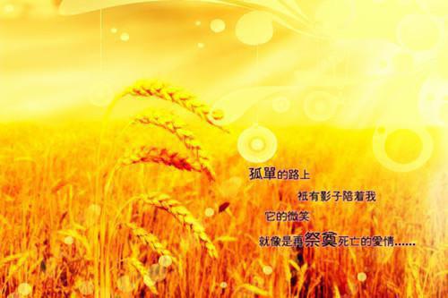 写景诗——《东都望幸》