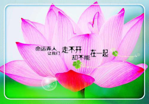 2023中专毕业生自荐信3篇