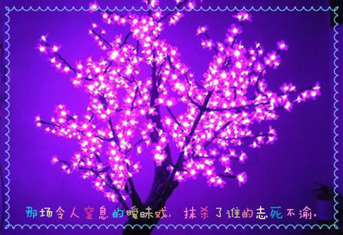 中学创建标准化寄宿制学校自查报告