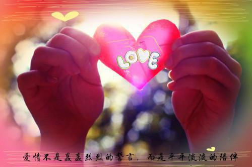 财务管理求职信模板范文