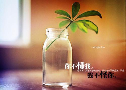 外贸专业自荐信范文
