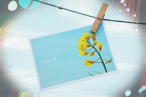 英文的展会邀请函范文汇编7篇