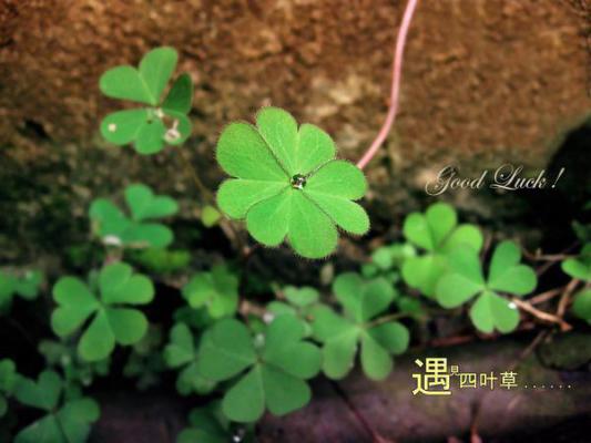 考试考不好检讨书