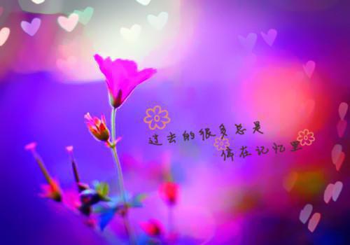 10部经典女性励志电影
