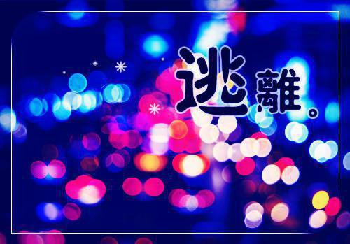 落实八项规定自查报告