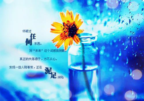 学校食堂表扬信