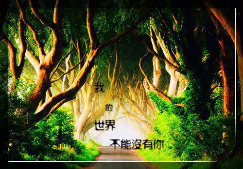 高中生暑假社会实践报告