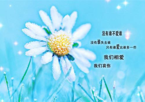 自荐信应言简意赅
