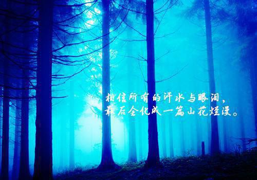蕃汉断消息，死生长别离。