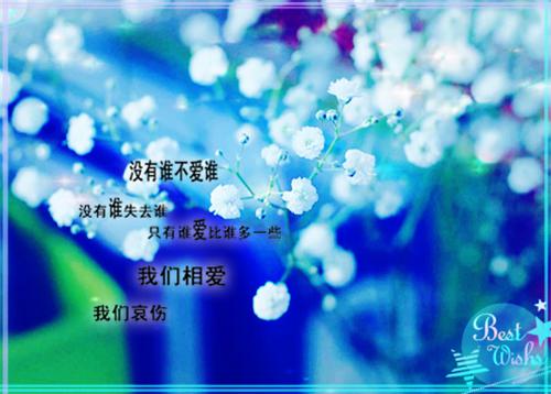 教师节诗歌——《老师，节日快乐》