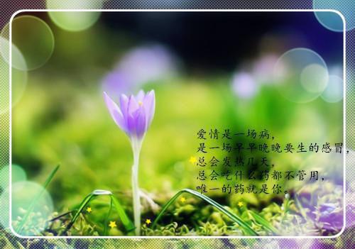 领导保安员表扬信