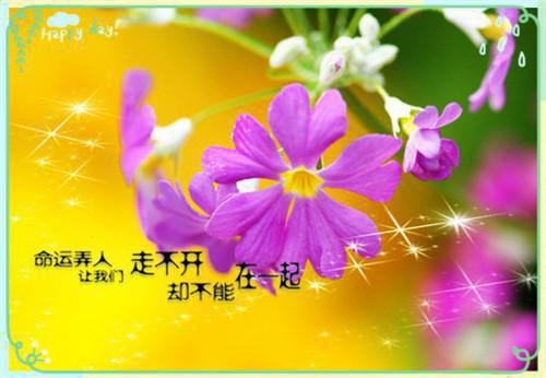 毕业实习生报告范文