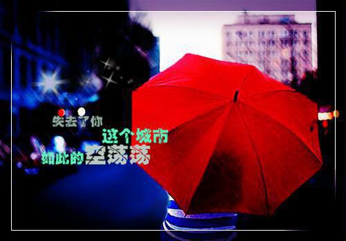 有关毕业生自荐信模板汇编五篇