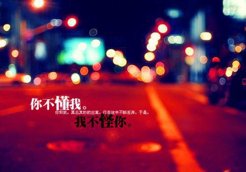 写景诗——《夜静春山空》
