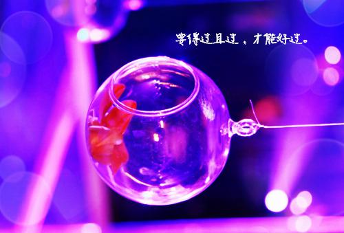 中学校园欺凌自查报告范文