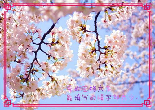 胡瓶落膊紫薄汗，碎叶城西秋月团。