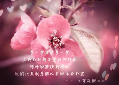 护理专业自荐信