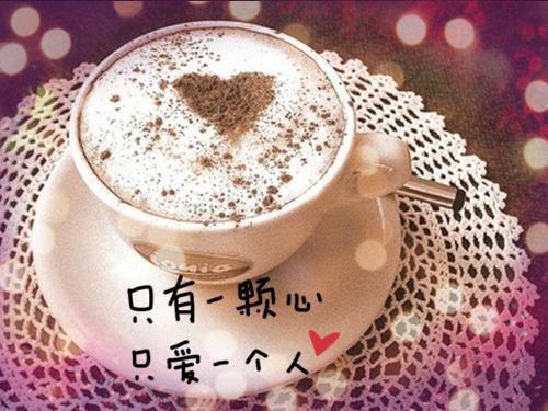 商务管理专业毕业生求职信范文