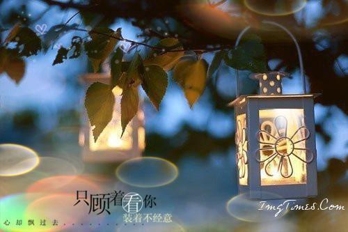 历史专业自荐信