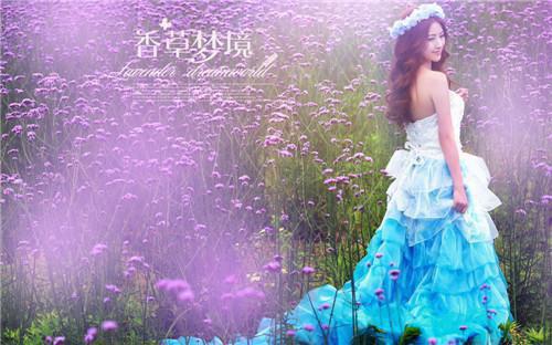 求职信模板范文英语版3篇
