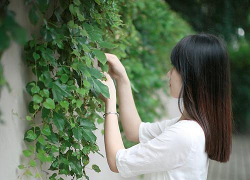针灸推拿学专业毕业生求职信范文