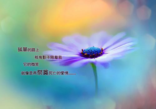 日长唯鸟雀，春远独柴荆。