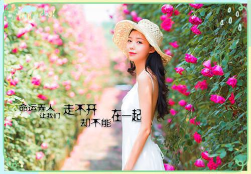 同学聚会邀请函范文【精彩5篇】