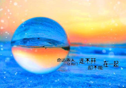 行政助理英文简历模板下载