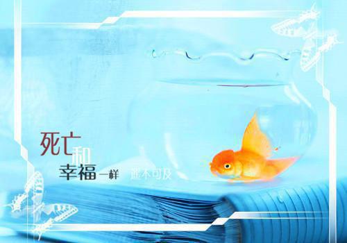 残疾人的励志故事作文