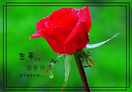 公司委托书的范文3篇