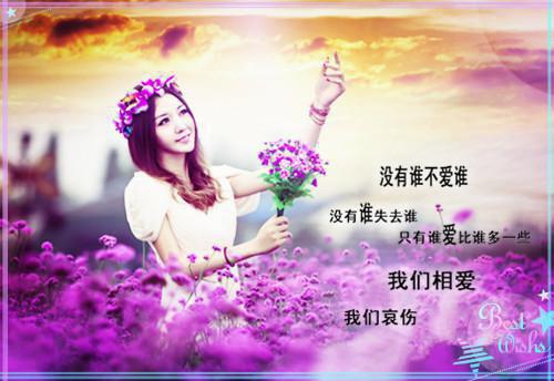 年度履职尽责自查自纠报告