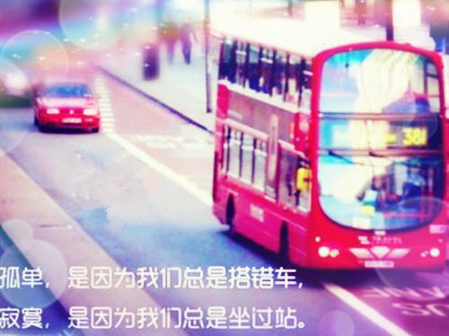 恋爱八年不结婚，我嫁人你哭什么小说（宋楚怡沈律之）前传+全书阅读新作预览